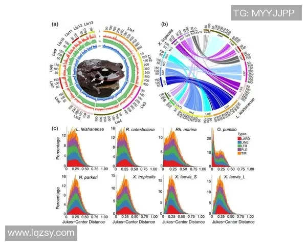 足球球星体能与心理素质科学测试全方位解析研究